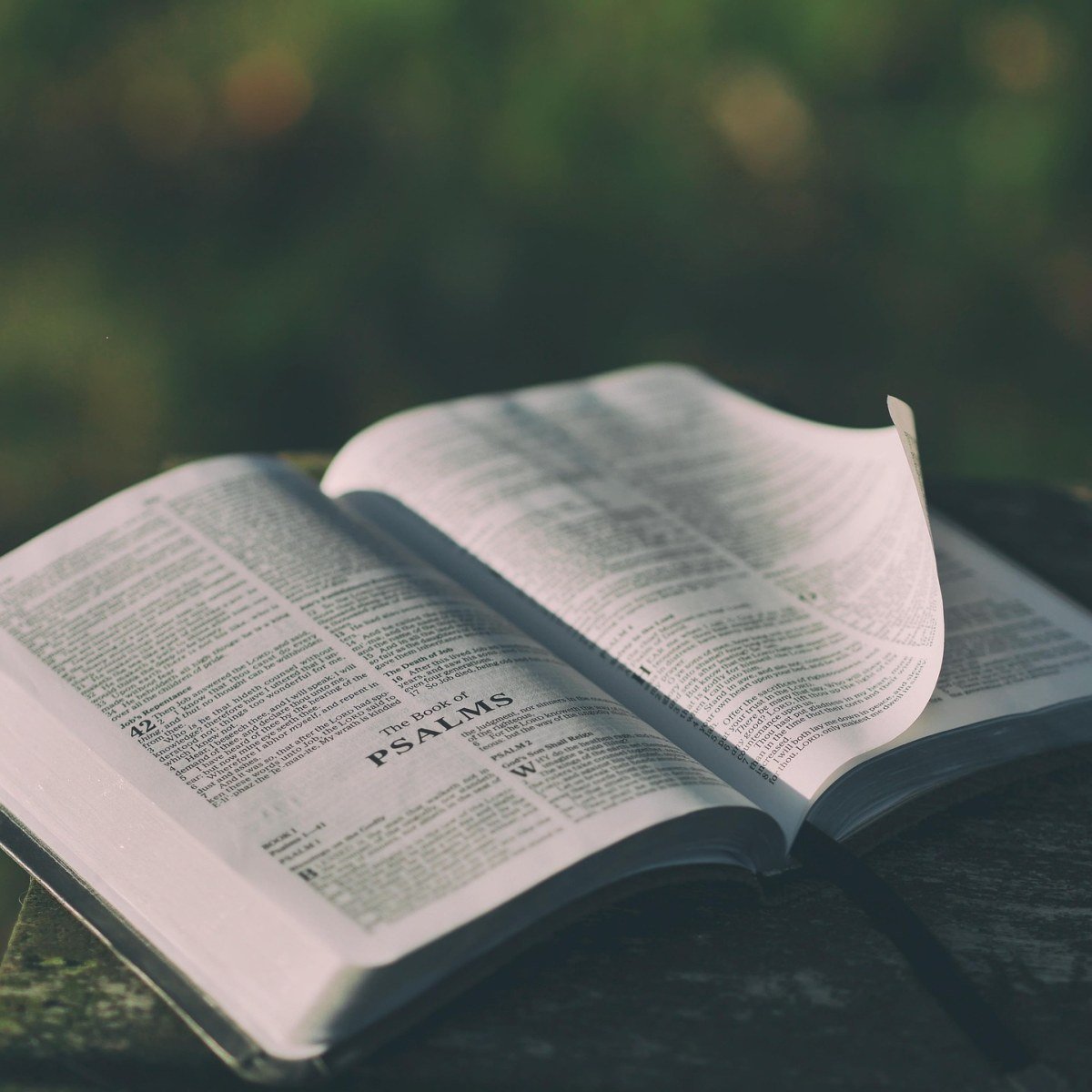 Morning Devotion